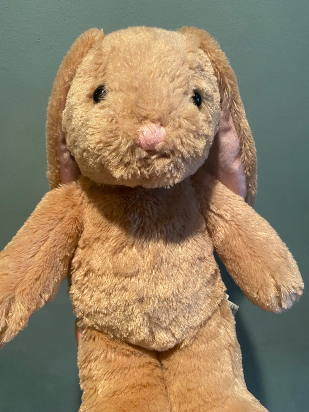 Build-A-Bear Bunny Pawlette Plush